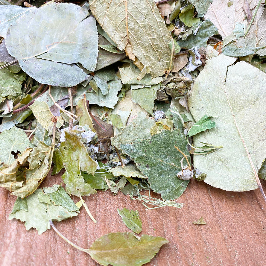 Futtermischung für Kaninchen und Nager mit Blättern heimischer Gehölze